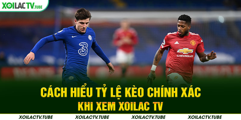 Cách hiểu tỷ lệ kèo chính xác khi xem Xoilac TV