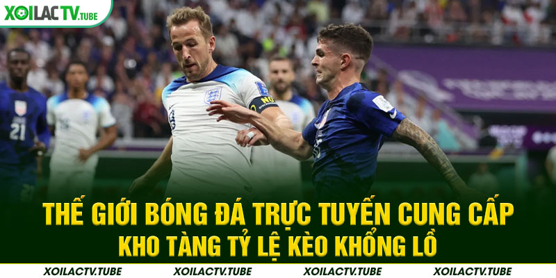 Thế giới bóng đá trực tuyến cung cấp kho tàng tỷ lệ kèo khổng lồ